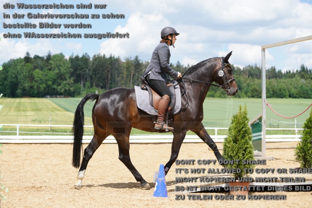 s_K3F06252.JPG